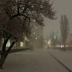 曰本女人裸体性做爰
